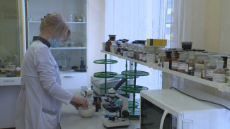 В Астрахани разрабатывают препарат от туберкулёза из верблюжьего молока