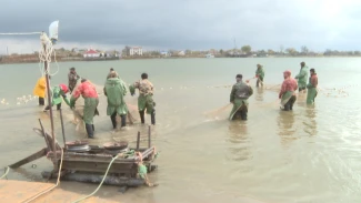 Осенняя путина в Астраханской области стартует 11 сентября