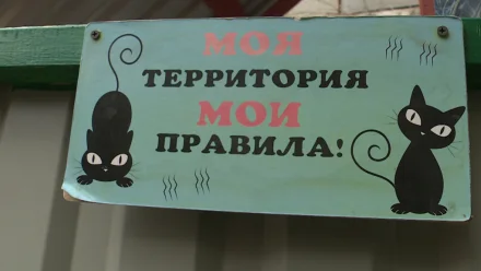 Жители аварийного дома в Астрахани не могут поделить общий двор