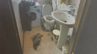 Астраханка получила 2,5 года колонии за убийство новорождённого ребёнка