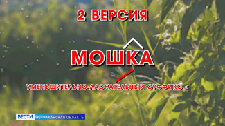 Рубрика "Слова" : мошка, тутник, солтень 