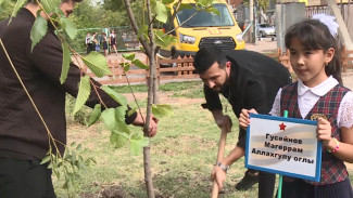 В Астрахани в школе-интернате высадили яблони в честь героев войны 