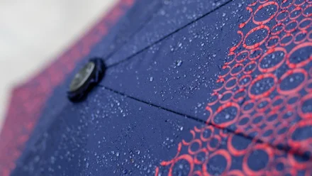 В Астрахани 25 октября прогнозируют небольшой дождь