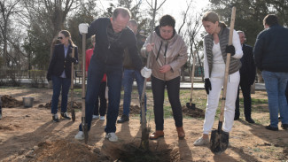 В Астрахани высадили порядка 3000 деревьев в рамках акции “Сад памяти”