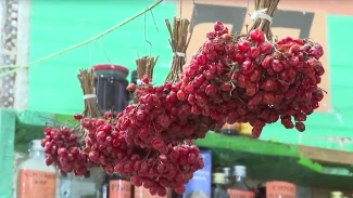 Есть ли в Астраханской области народные целители и травники