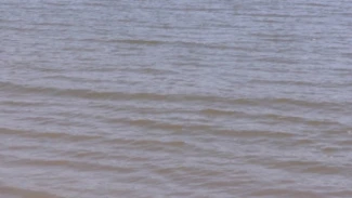 В Астраханской области пограничники спасли пассажиров перевернувшейся лодки