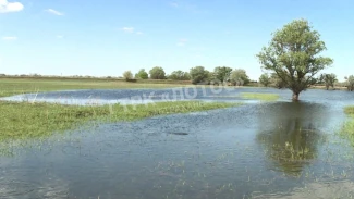 В Астраханской области стартовала рыбохозяйственная полка 