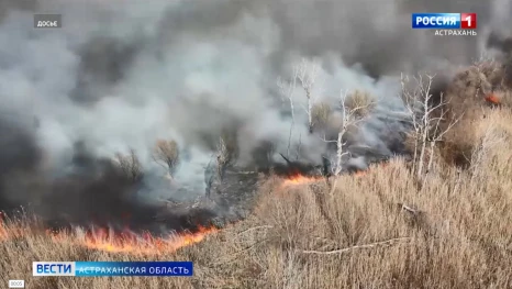 В двух астраханских лесничествах объявили пожароопасный сезон