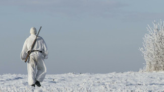 В Астраханской области завершился сезон охоты на пушных животных