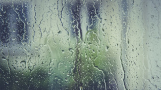 В понедельник в Астрахани прогнозируют дождь