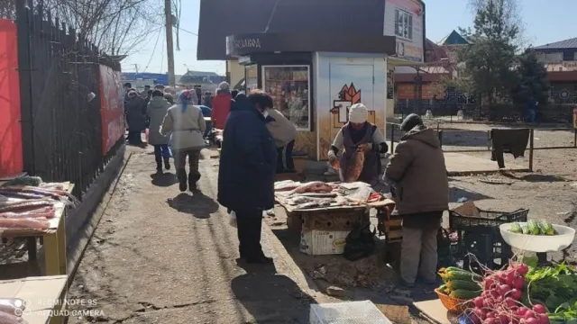 На рынках Астрахани составили протоколы на 7 продавцов рыбы