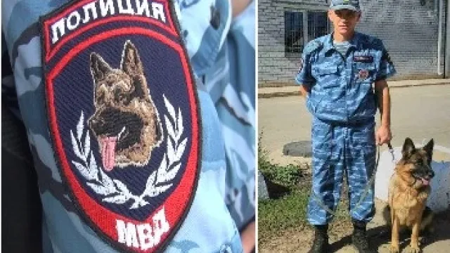 В Астраханской области служебная собака отыскала угнанный велосипед