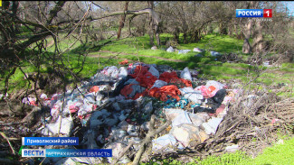 В Приволжском районе русло ерика Мансур завалили мусором