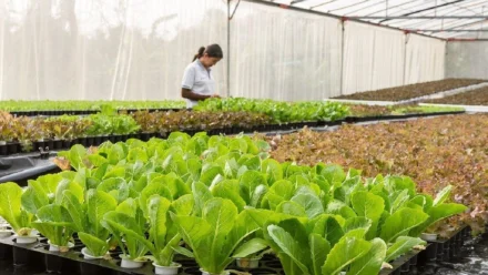 В Астрахани оказывают господдержку инвестпроектам