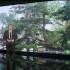 Устраняют последствия внезапного шторма, накрывшего накануне Астраханскую область