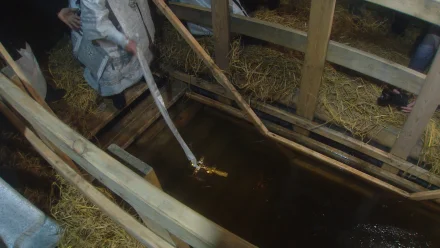 Астраханцев просят для крещенских купаний использовать только специально оборудованные места