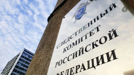В следственном комитете России создано поисковое движение