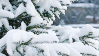 В Астраханской области 25 января ожидаются снег и гололедица