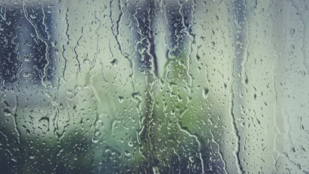 В Астраханской области прогнозируют дождь, грозу и шквалистый ветер