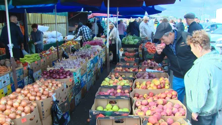 В Астраханской области прошли ярмарки в преддверии Дня работника сельского хозяйства