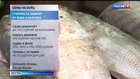 Улова в разгар путины на астраханских рынках стало заметно больше