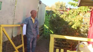 Астраханец 15 лет содержит приют для домашних животных