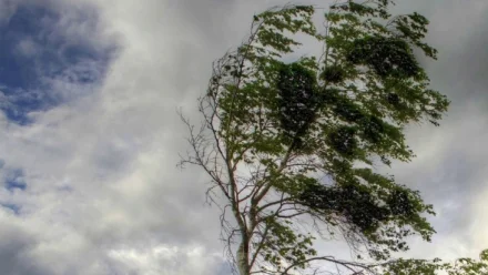 В Астраханской области 24 марта прогнозируется усиление ветра