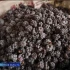 В Астраханской области в самом разгаре сезон ягод