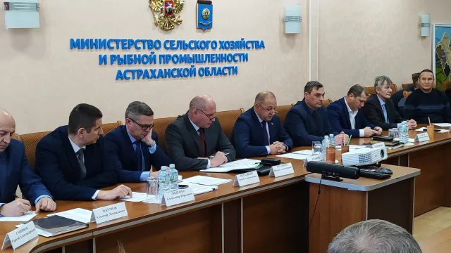 Астраханский Минсельхоз утвердил квоты на весеннюю путину