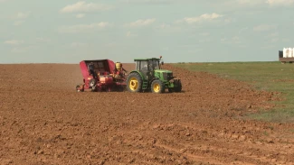 В Астраханской области 333 агрария получили поддержку государства