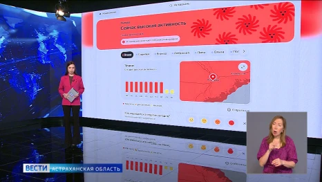Астраханских аллергиков предупреждают о высокой активности пыльцы