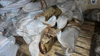 В цехе в Астрахани обнаружили 115 тонн рыбы без маркировки