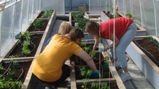 В Астрахани стартовал проект по социализации детей-сирот