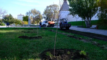 Астрахань – не Токио, но и тут будет цвести сакура