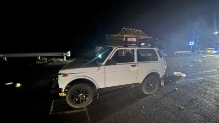 Под Астраханью «Нива» насмерть сбила двух пешеходов 