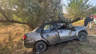 Под Астраханью машина врезалась в дерево, женщина погибла 