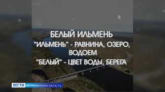Рубрика «Слова» : цветная карта