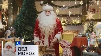 Выпуск от 10.12.2024