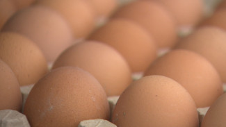 Астраханская птицефабрика «Харабалинская» ждёт помощи от государства на развитие производства 