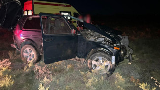 Под Астраханью в ДТП с лошадью пострадали несколько человек