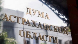 Астраханские депутаты предлагают разрешить усыплять бездомных агрессивных собак