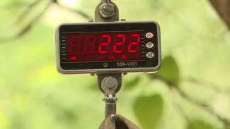 В Астрахани проходят итоговые замеры твердо-коммунальных отходов