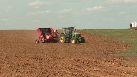 В Астраханской области 333 агрария получили поддержку государства