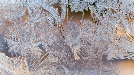 В Астрахани резко понизится температура воздуха и продолжит идти снег