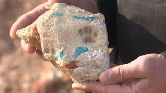 В Астраханской области археологи обнаружили след кошачьей лапы на средневековом изразце