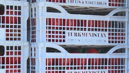 Туркменистан безвозмездно передаст Астраханской области лекарства и товары
