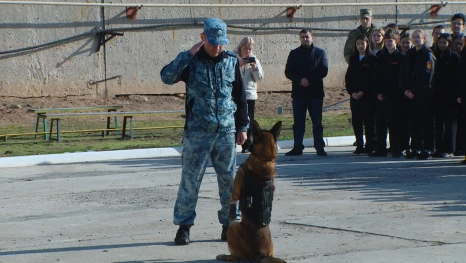 В Астраханской области четвероногие сотрудники полиции продемонстрировали свои умения