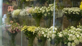 Какие цветы предпочитают получать в подарок астраханки