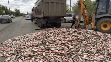 В Астрахани грузовик заблокировал проезд рыбой