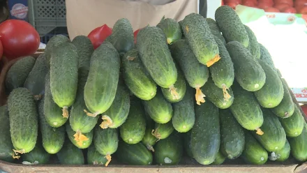 В Астраханскую область привезли более 83 тонн овощей из Узбекистана